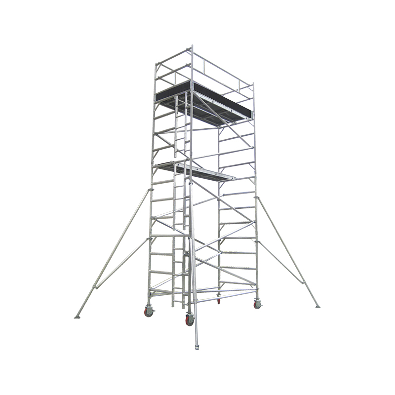 Andamio de doble ancho con escalera vertical