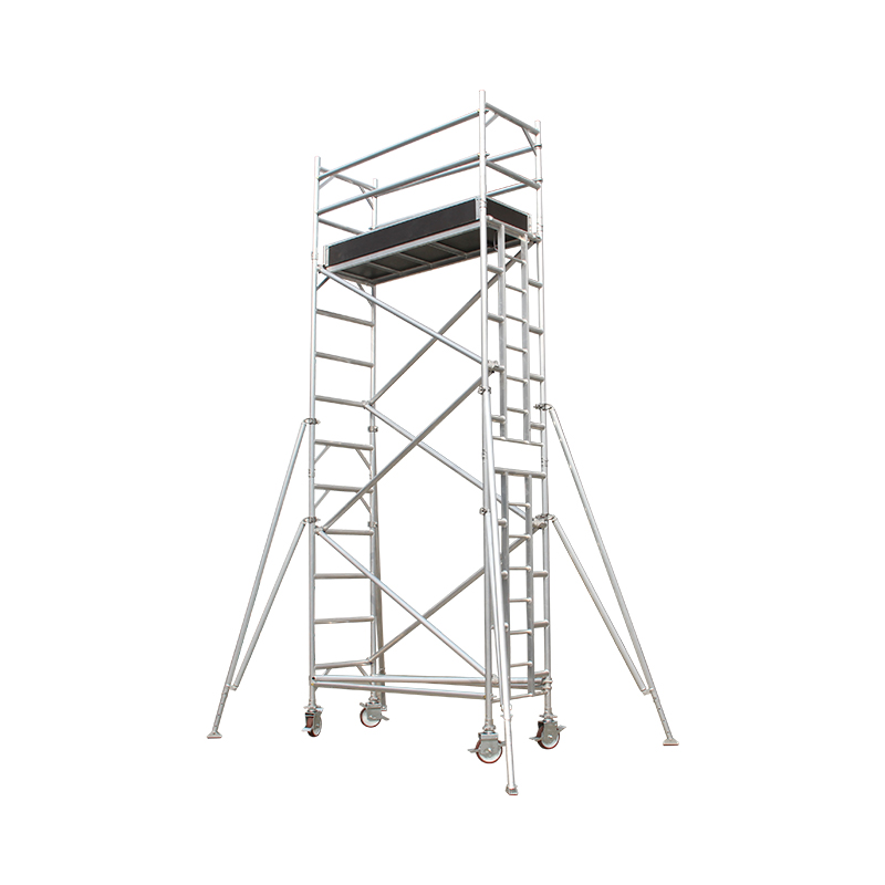 Andamio de un solo ancho con escalera vertical